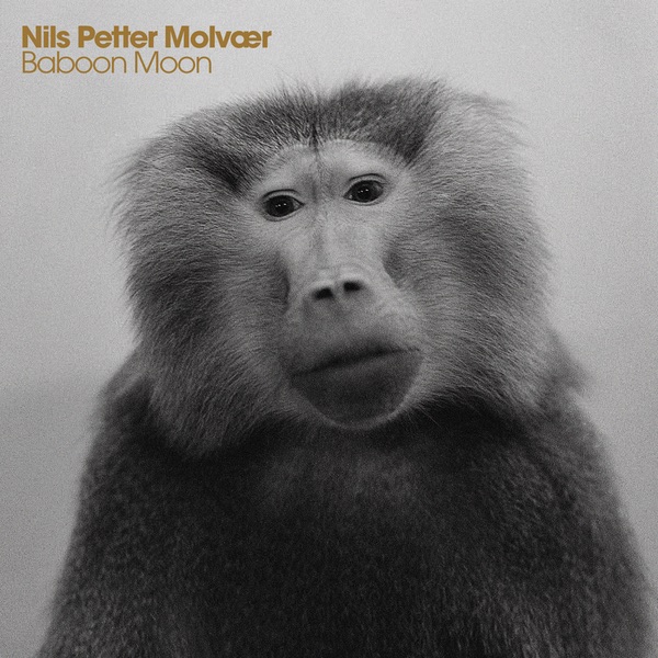 Nils Petter Molvaer - Baboon Moon